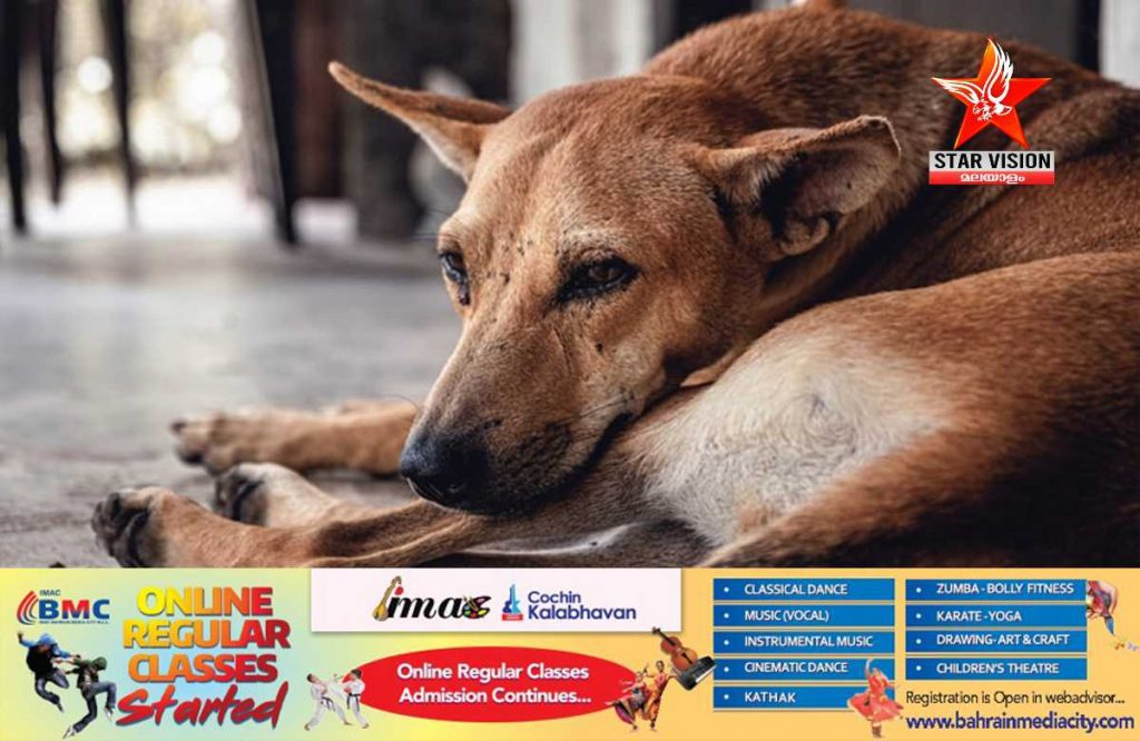 തിരുവനന്തപുരത്ത് തെരുവ് നായയെ ക്രൂരമായി ആക്രമിച്ചു