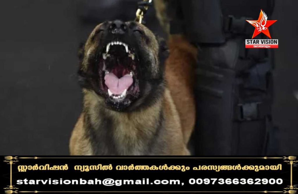 ഡാളസ്സില് നായയുടെ കടിയേറ്റ് നാലുവയസുകാരിക്ക് ദാരുണാന്ത്യം