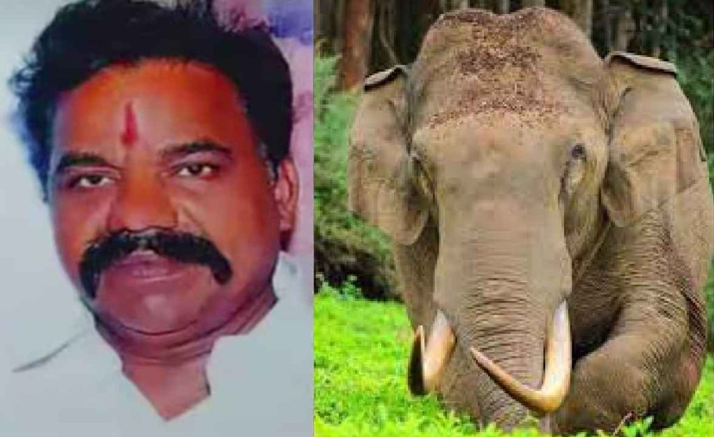 അരികൊമ്പന്റെ ആക്രമണത്തിൽ പരിക്കേറ്റയാൾ മരിച്ചു