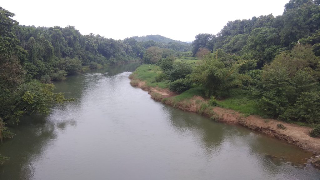 കൂടത്തായി ഇരുതുള്ളി പുഴയില് യുവാവിനെ മരിച്ച നിലയില് കണ്ടെത്തി
