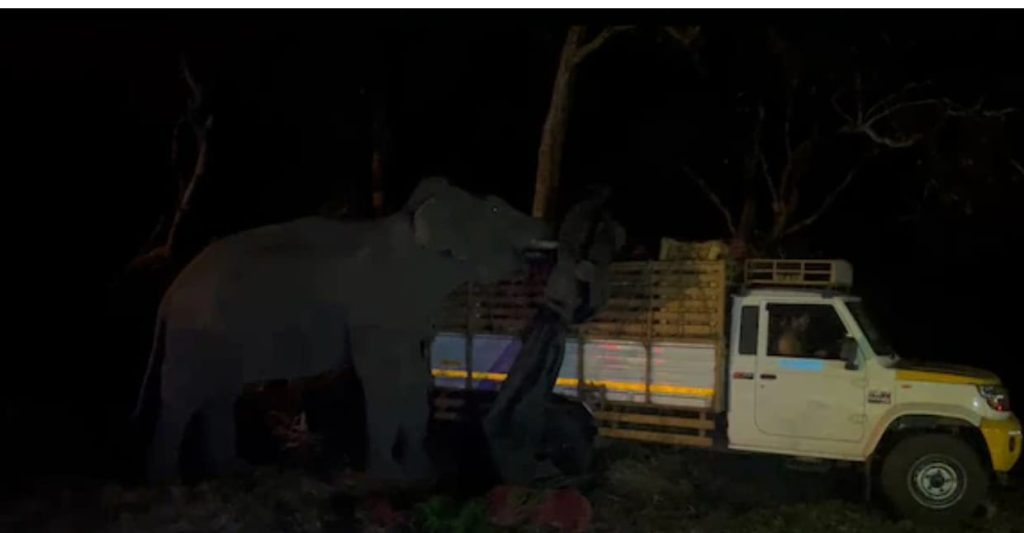 മുത്തങ്ങ-ബന്ദിപ്പുര് വനപാതയില് ചരക്കുവാഹനത്തെ കാട്ടുകൊമ്പന് അക്രമിച്ചു