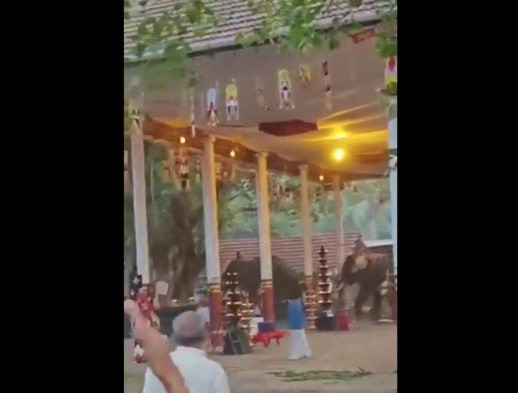 കോഴിക്കോട് കൊയിലാണ്ടിയില് ക്ഷേത്രോത്സവത്തിനിടെ ആനയിടഞ്ഞ് 3 മരണം