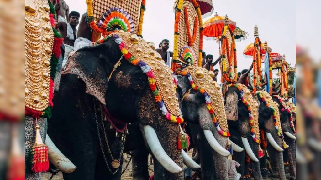 ആനയെഴുന്നള്ളിപ്പ് സംസ്കാരത്തിന്റെ ഭാഗം; ഹൈക്കോടതി ഉത്തരവ് സ്റ്റേ ചെയ്ത് സുപ്രീം കോടതി