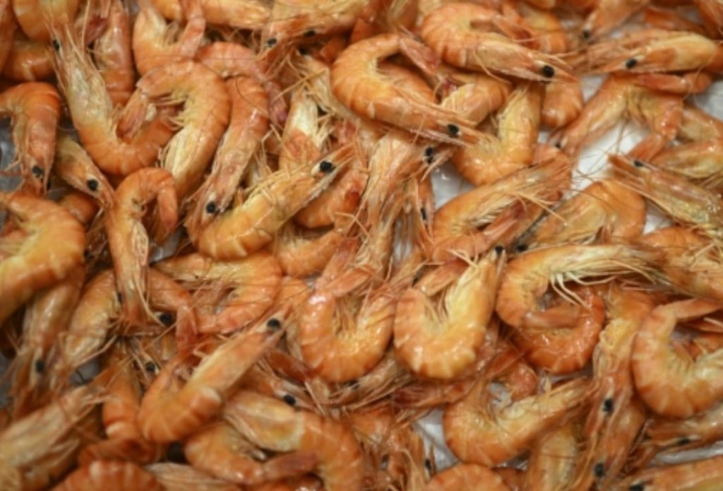 ബഹ്റൈനില് ചെമ്മീന് പിടുത്ത നിരോധനം ഓഗസ്റ്റ് ഒന്നിന് അവസാനിക്കും