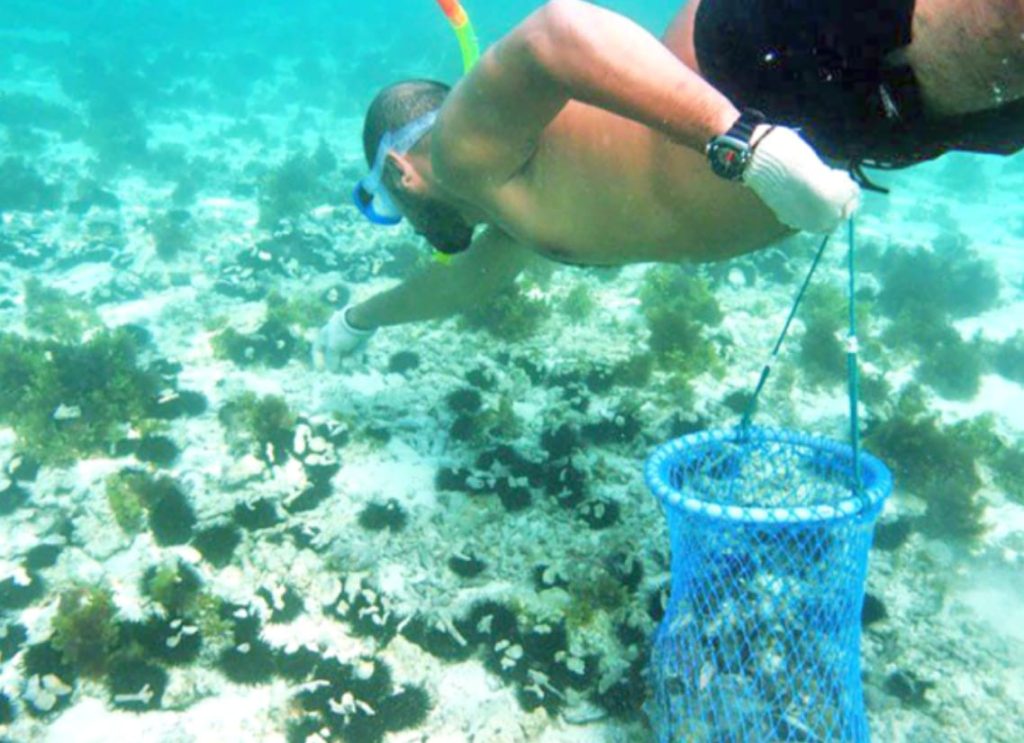 എട്ടാമത് മറൈന് പൈതൃക സീസണ്: മുത്തുവാരല് മത്സരം നടത്തും