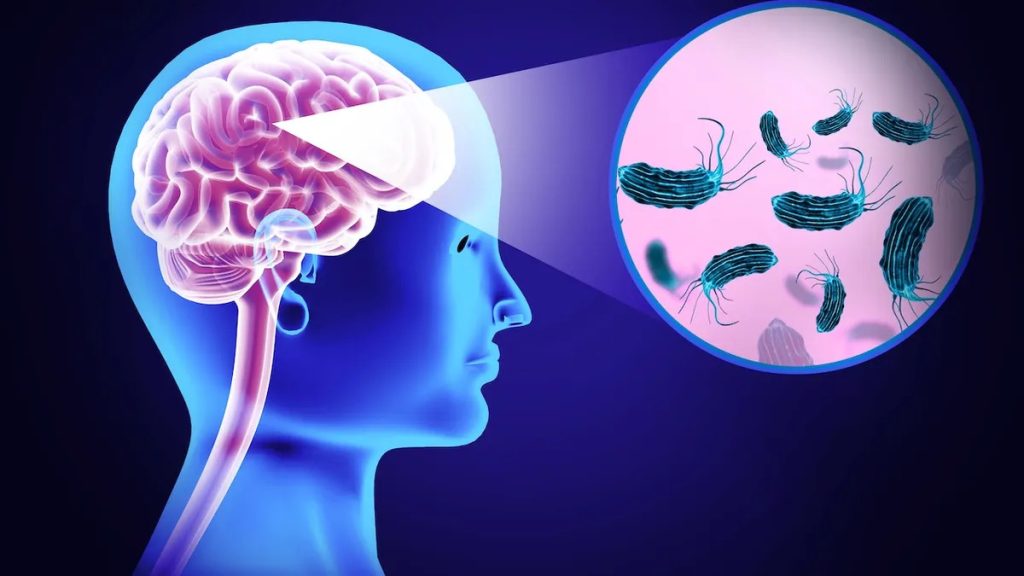 സംസ്ഥാനത്ത് ഒരാള്ക്ക് കൂടി അമീബിക് മസ്തിഷ്ക ജ്വരം; എട്ട് പേര് ചികിത്സയില്