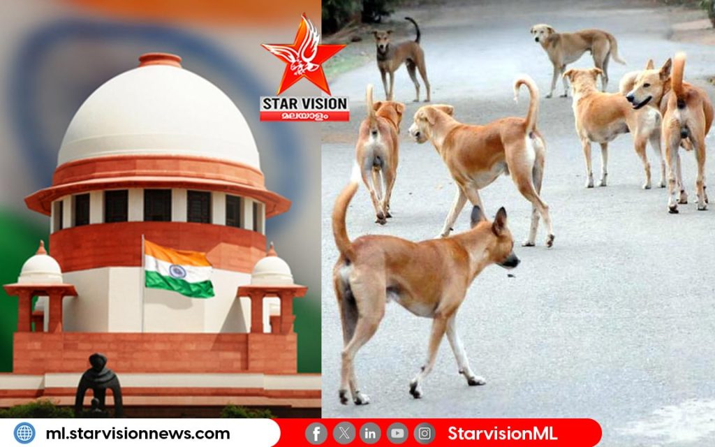 സുപ്രീം കോടതി നിലപാട് കടുപ്പിച്ചു: തെരുവുനായ്ക്കളെ പുനരധിവാസ കേന്ദ്രങ്ങളിലേക്ക് മാറ്റാനുള്ള ഉത്തരവ് പിൻവലിക്കില്ല