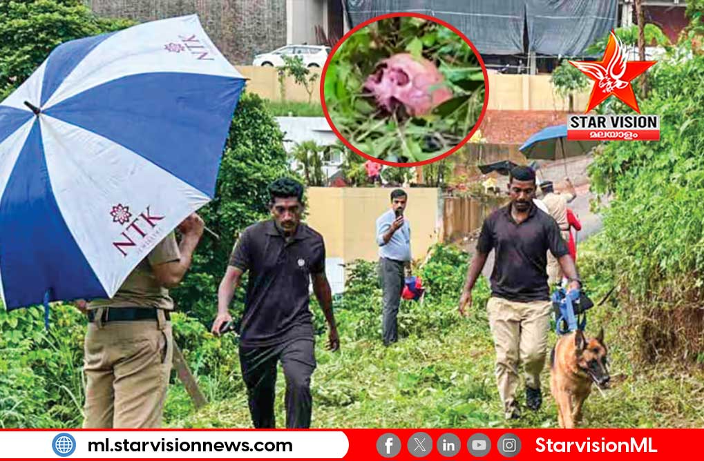 കാട് വെട്ടിത്തെളിക്കുന്നതിനിടെ തലയോട്ടി കണ്ടെത്തി; മഞ്ചേരിയിൽ പോലീസ് അന്വേഷണം